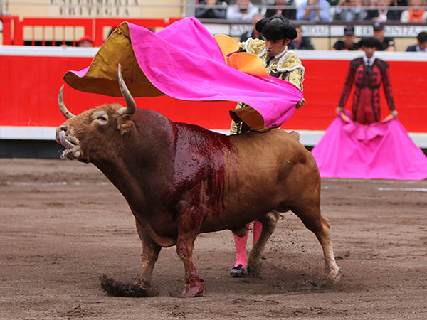 Quite de Miguel �ngel