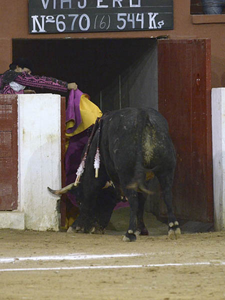 Al potrero de La Laja