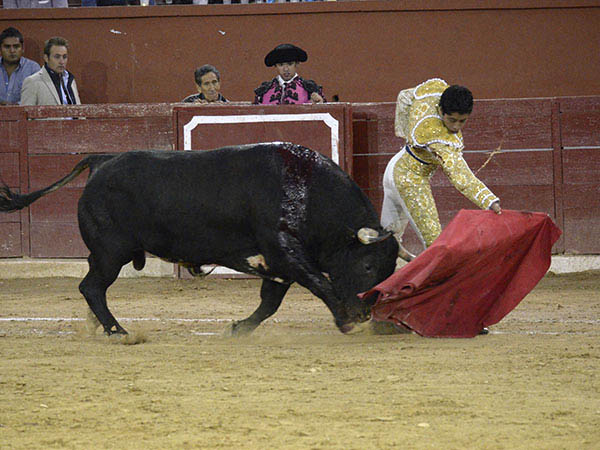 Puso de pie al p�blico