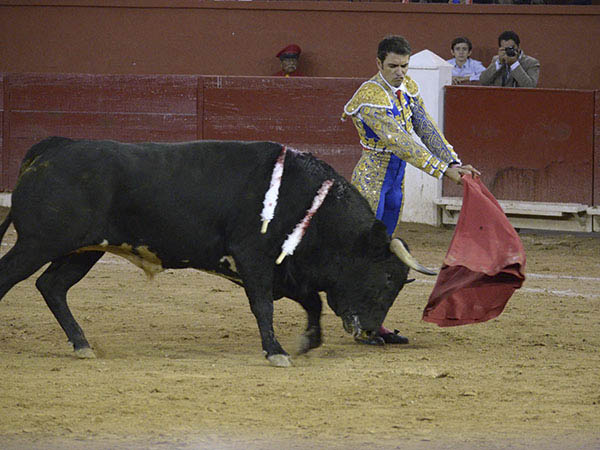 Uno de los toros m�s hechos