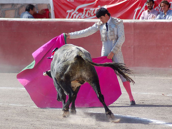 Una ver�nica de Alejandro