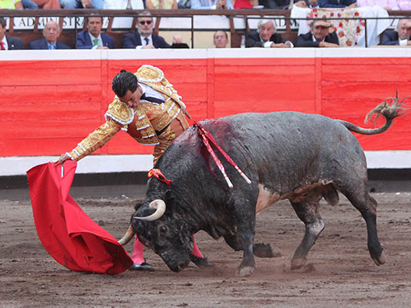 Firmeza en la acometida