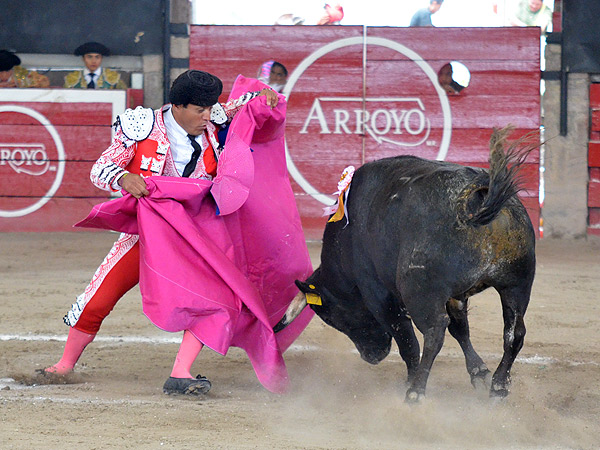 Maestr�a de Salda�a