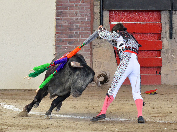 Cosech� los v�tores