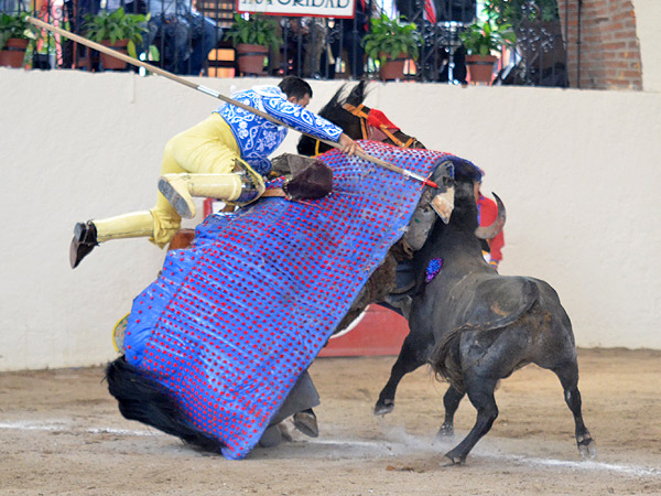 Una batalla de bravura
