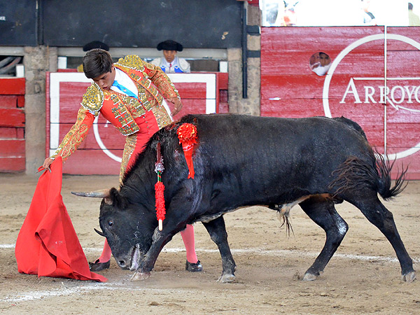 Asentado y con trazo