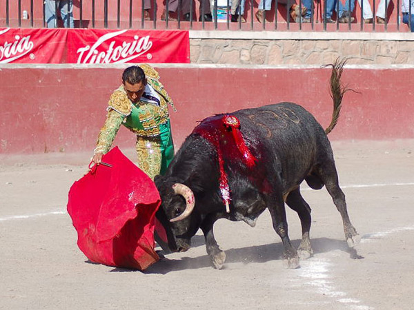 Acompa�ando la embestida