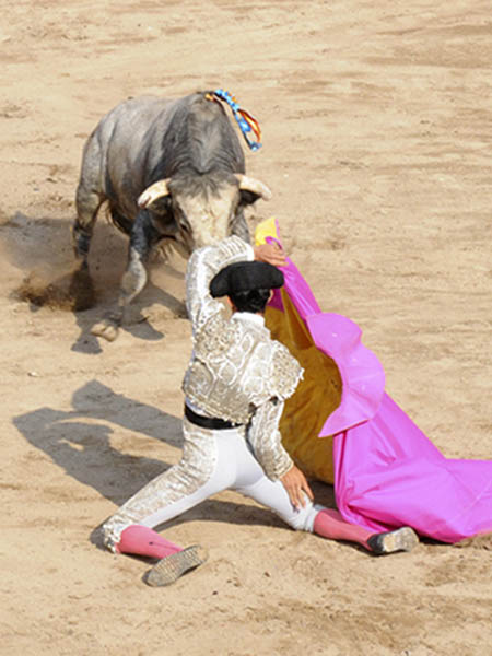 Saludo de Guti�rrez