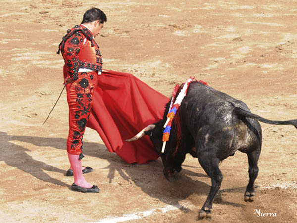 El toreo en la sangre
