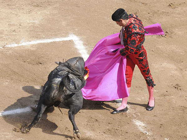 Sorte� un novillo complicado