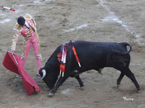 Buen ejemplar de Claudio Huerta