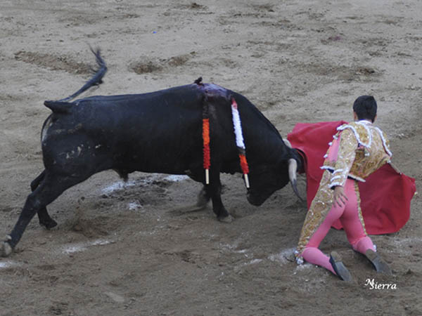 De hinojos por el derecho