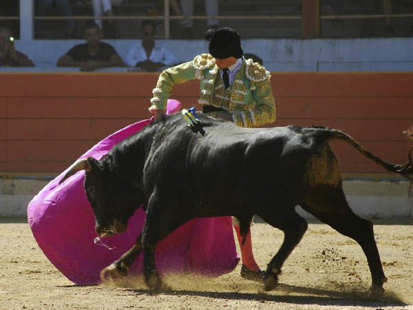 El Galo brilla en Fontvielle