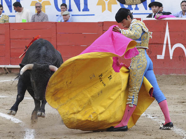 Juego de brazos de Pastor