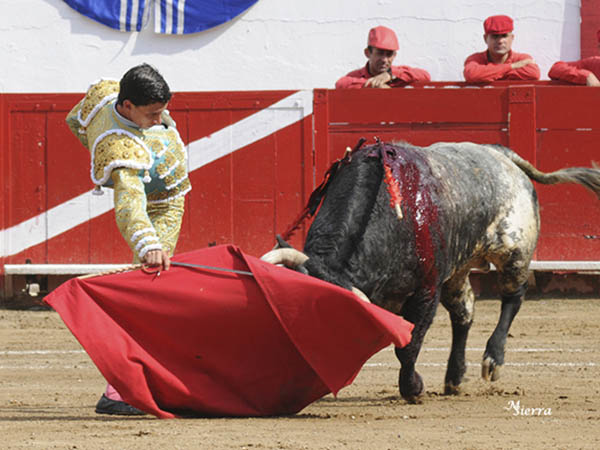 Haciendo bien las cosas