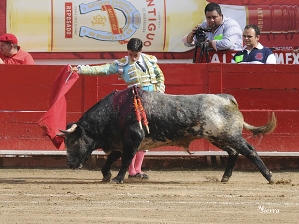 Dibuj� buenos muletazos