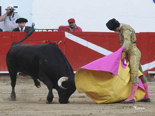 Buen son del ejemplar