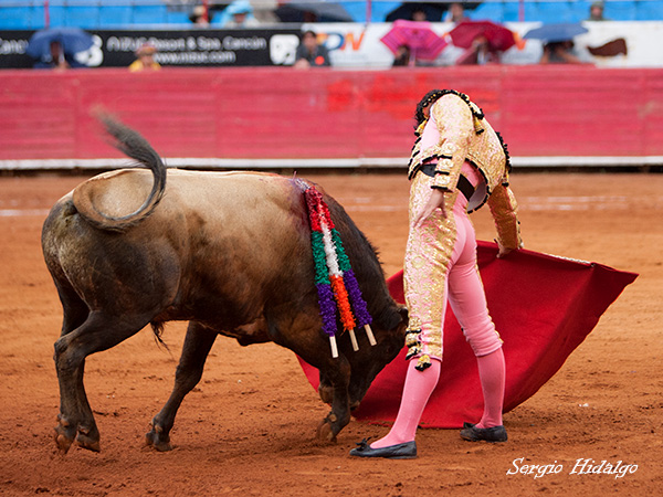 Templando la embestida