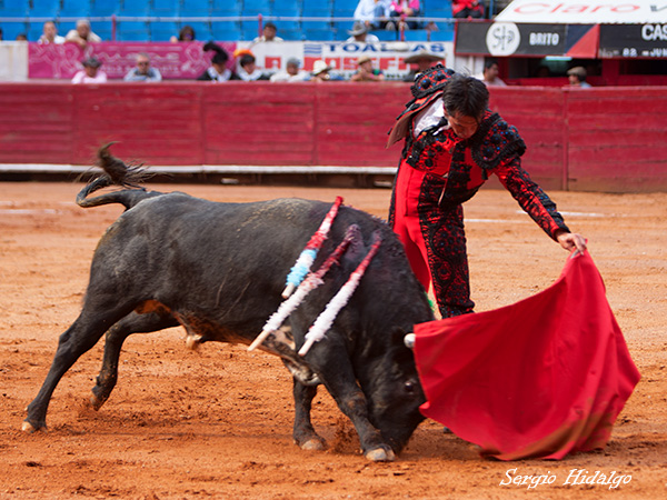 Destellos de calidad del colombiano