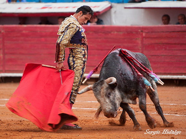 Desaprovech� al mejor novillo