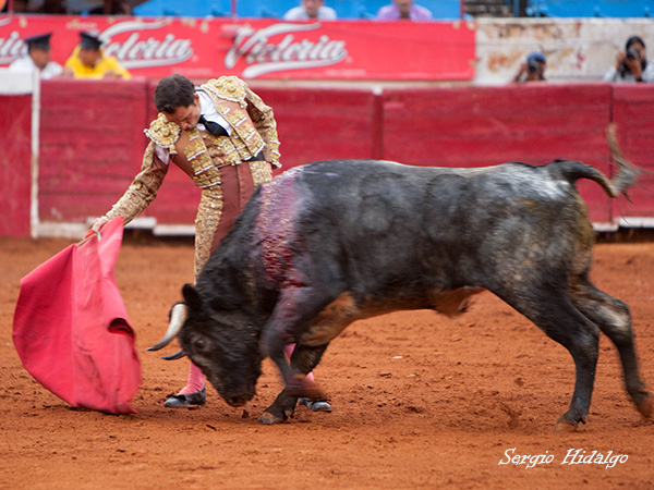 El zacatecano en un redondo
