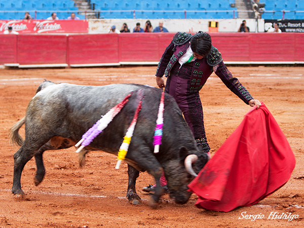 Metido en la muleta