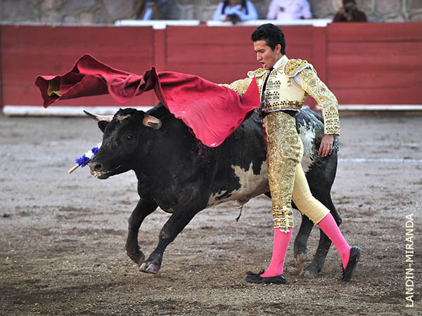 Demostr� tener cualidades