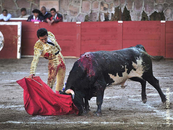 Seguro y con pasajes interesantes