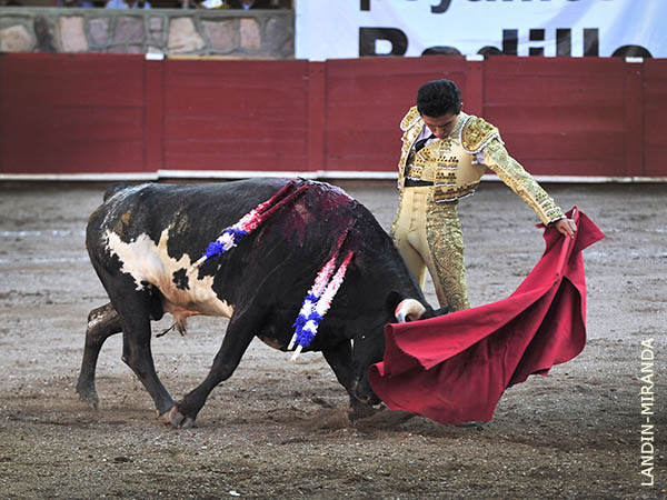 Plantado por el izquierdo