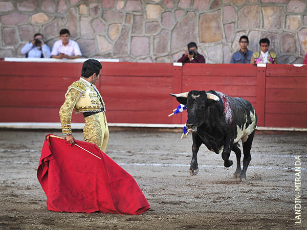 Vibrante inicio de muleta