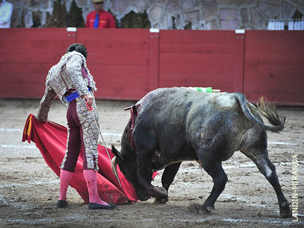 Reposo y trazo por naturales
