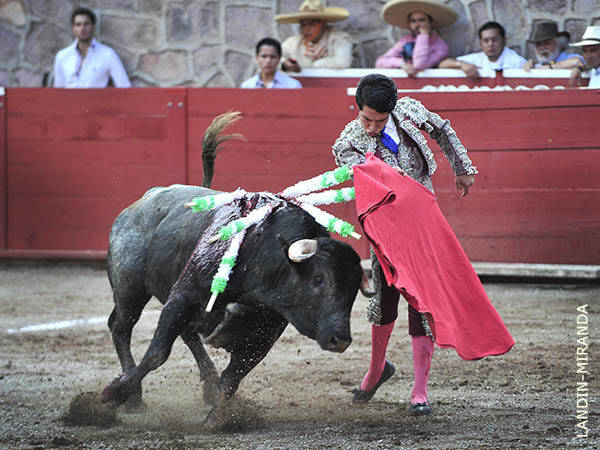 Llev�ndolo a los medios