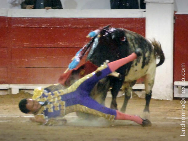 Se aprecia la cornada