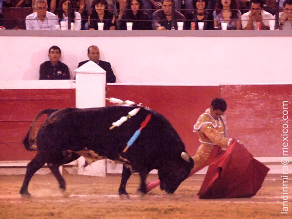 Garibay y el de regalo