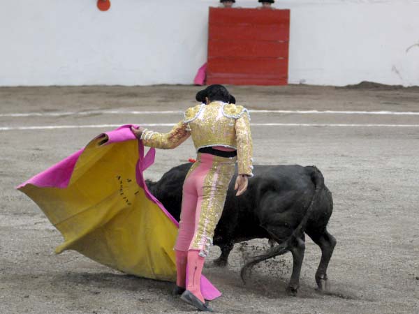 El remate a una mano