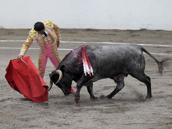 Cosido a la muleta muy humillado