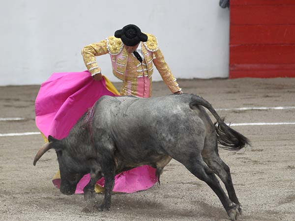 Angelino con la capa