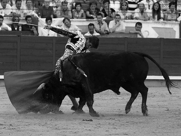 Buscando el enga�o