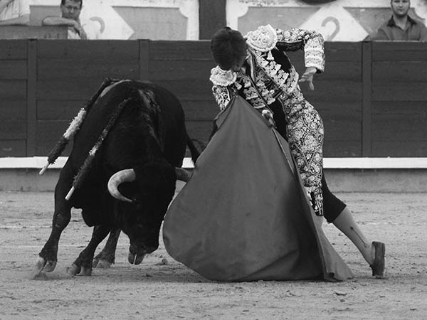 Expresi�n de artista