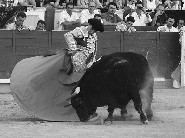 La media del maestro