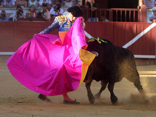 Variedad y buen gusto