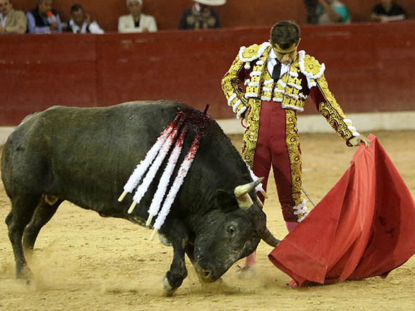 Brind� lo mejor de s�