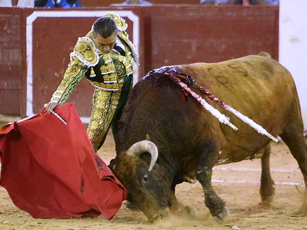 Fue cuajando muletazos estupendos