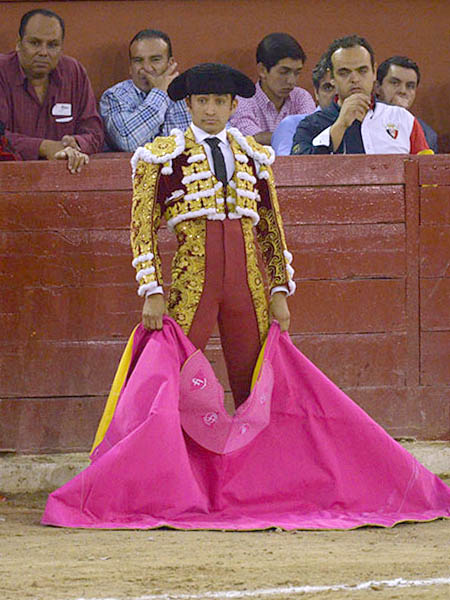 La vista en el toril