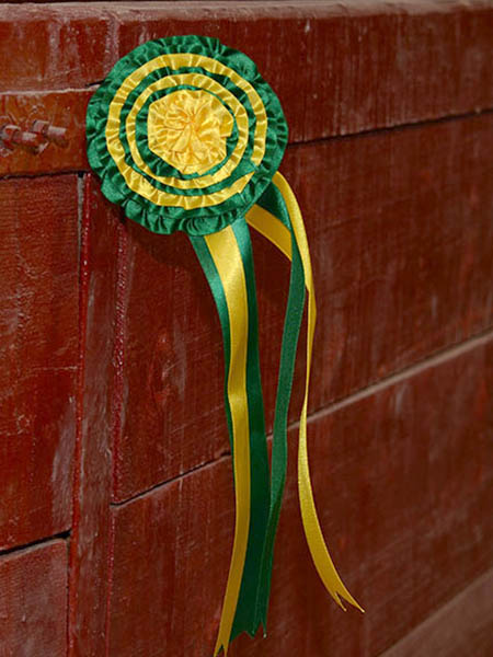 La mo�a en las tablas