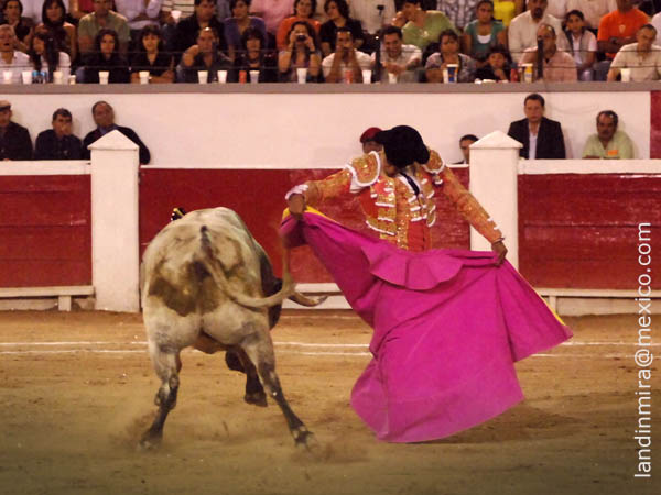 Garibay a la chicuelina