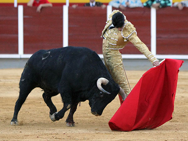 Sentimiento de Talavante