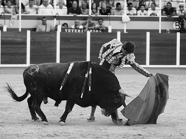 Blanco y negro al natural