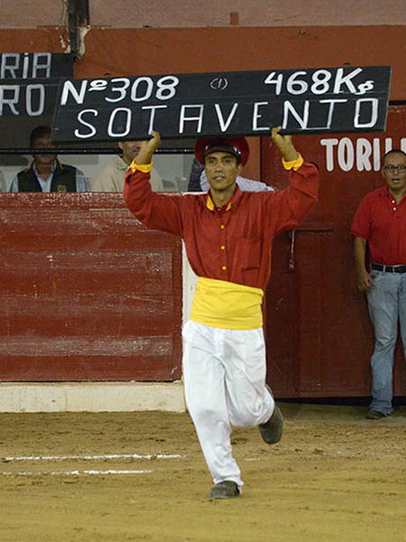 Como el yate del magnate