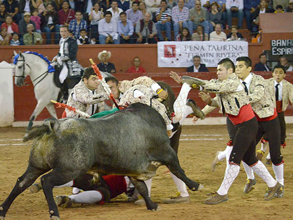 Una chuza del astado